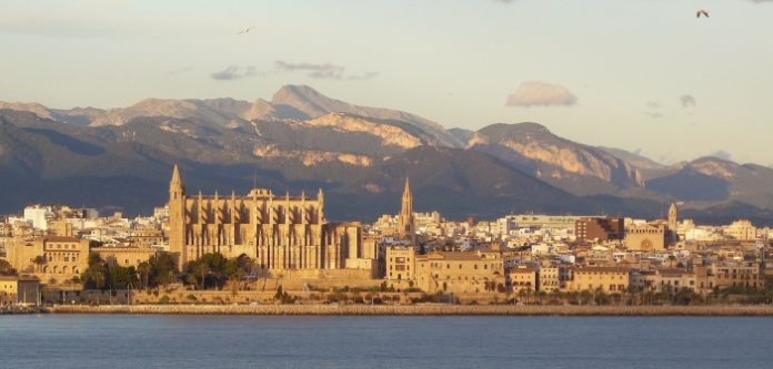 palma-main-1x
