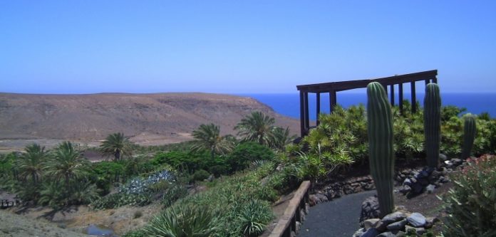 fuerteventura-main-1x
