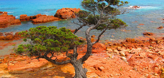 sardinia-main-1xx
