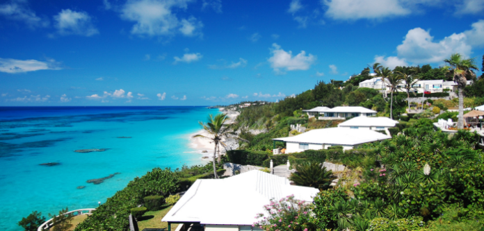 bermudy-main-cc