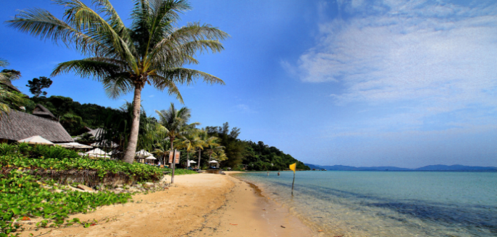 borneo-main-ok