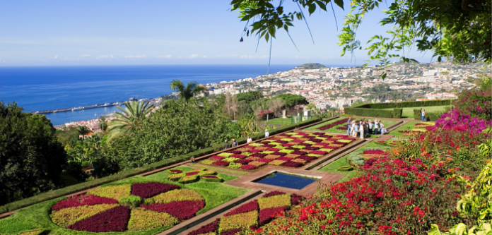 madeira-main-d