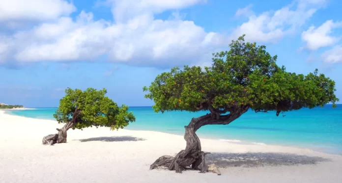 aruba-main-1200-1p