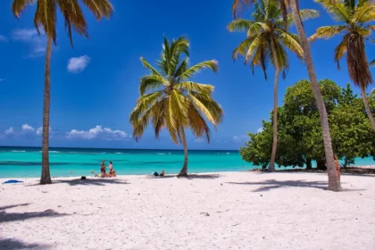 https://www.pexels.com/pl-pl/zdjecie/morze-plaza-wakacje-ludzie-10490905/