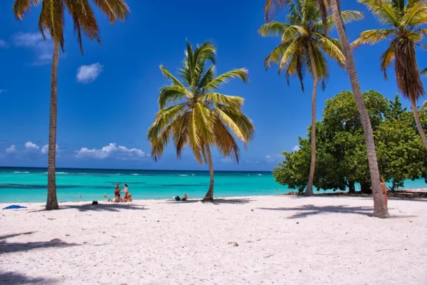 https://www.pexels.com/pl-pl/zdjecie/morze-plaza-wakacje-ludzie-10490905/