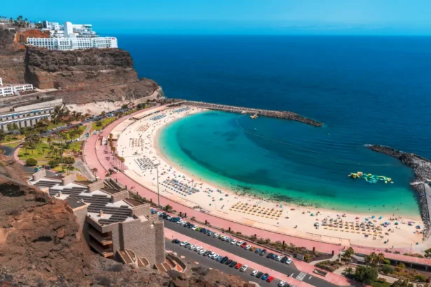 https://www.pexels.com/pl-pl/zdjecie/morze-natura-plaza-wakacje-8791201/