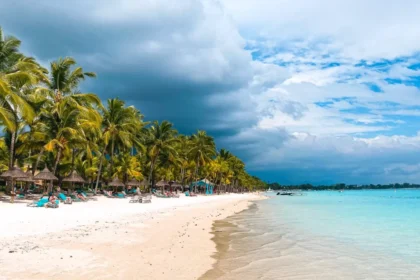 https://www.pexels.com/pl-pl/zdjecie/krajobraz-plaza-piasek-ocean-18069587/