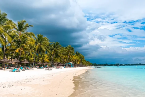 https://www.pexels.com/pl-pl/zdjecie/krajobraz-plaza-piasek-ocean-18069587/