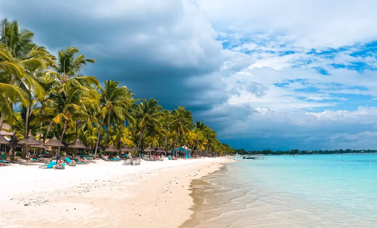 https://www.pexels.com/pl-pl/zdjecie/krajobraz-plaza-piasek-ocean-18069587/