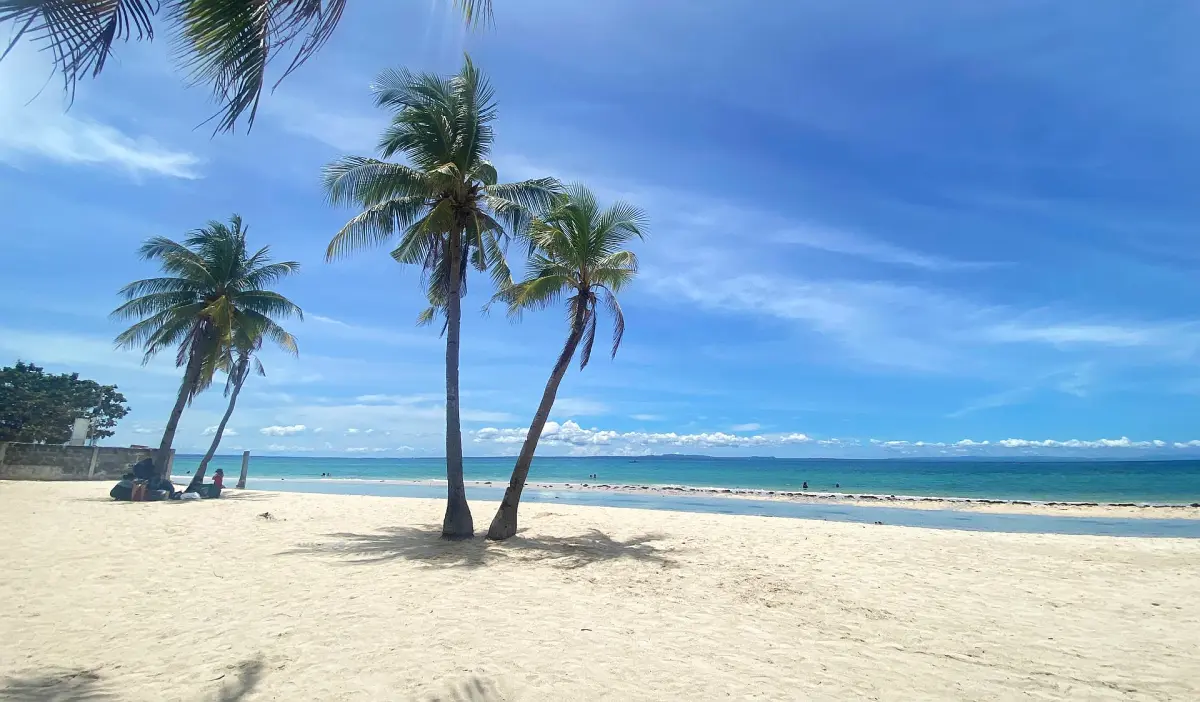 https://www.pexels.com/pl-pl/zdjecie/tropikalna-plaza-palm-beach-w-central-visayas-na-filipinach-33715957/