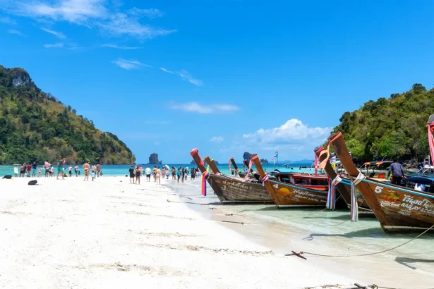 https://www.pexels.com/pl-pl/zdjecie/tradycyjne-lodzie-typu-longtail-na-plazy-tropical-beach-30588127/
