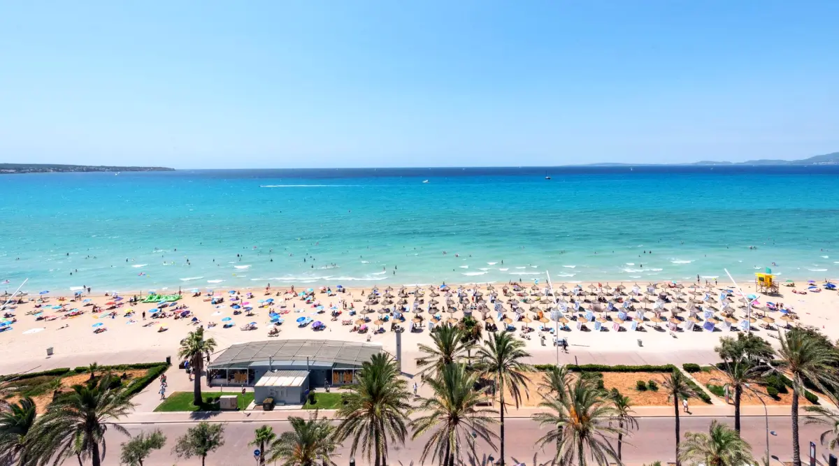 https://www.pexels.com/pl-pl/zdjecie/sloneczny-dzien-na-plazy-palma-beach-na-majorce-33018804/