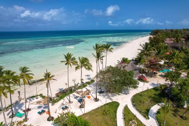 https://www.pexels.com/pl-pl/zdjecie/plaza-wakacje-ocean-wybrzeze-14667393/