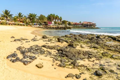 https://www.pexels.com/pl-pl/zdjecie/morze-krajobraz-natura-plaza-14652598/