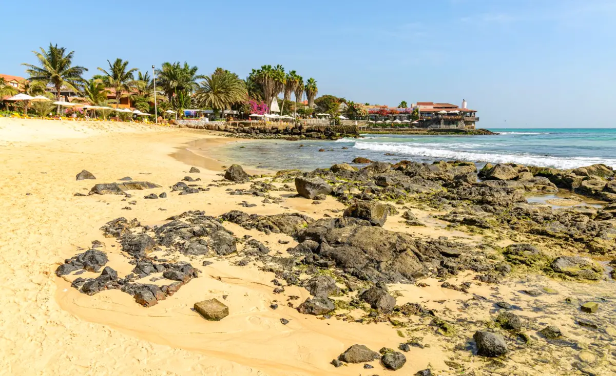 https://www.pexels.com/pl-pl/zdjecie/morze-krajobraz-natura-plaza-14652598/