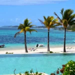 https://www.pexels.com/pl-pl/zdjecie/tropikalne-sylwetki-palm-mauritius-na-tle-nieba-31743358/