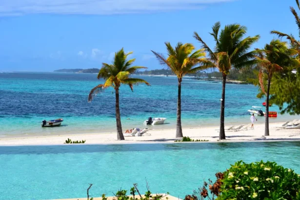https://www.pexels.com/pl-pl/zdjecie/tropikalne-sylwetki-palm-mauritius-na-tle-nieba-31743358/