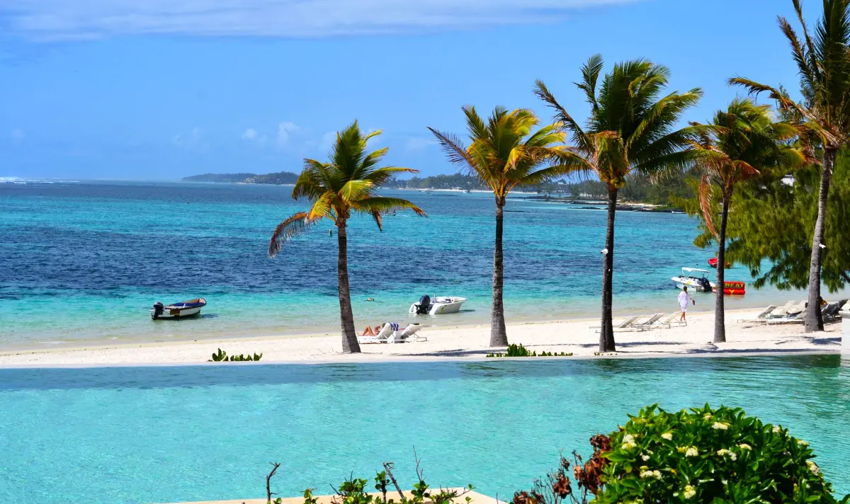 https://www.pexels.com/pl-pl/zdjecie/tropikalne-sylwetki-palm-mauritius-na-tle-nieba-31743358/