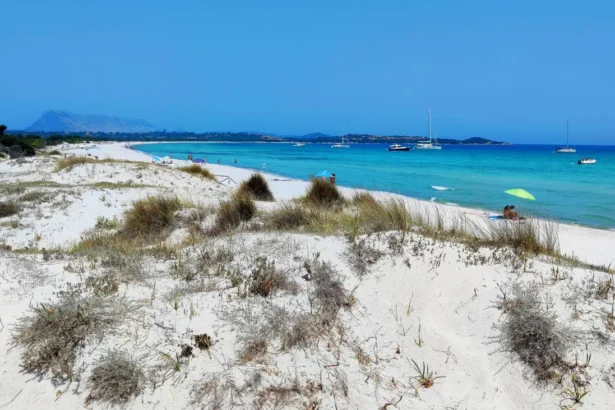 https://www.pexels.com/pl-pl/zdjecie/malowniczy-widok-na-plaze-cala-brandinchi-na-sardynii-29773796/