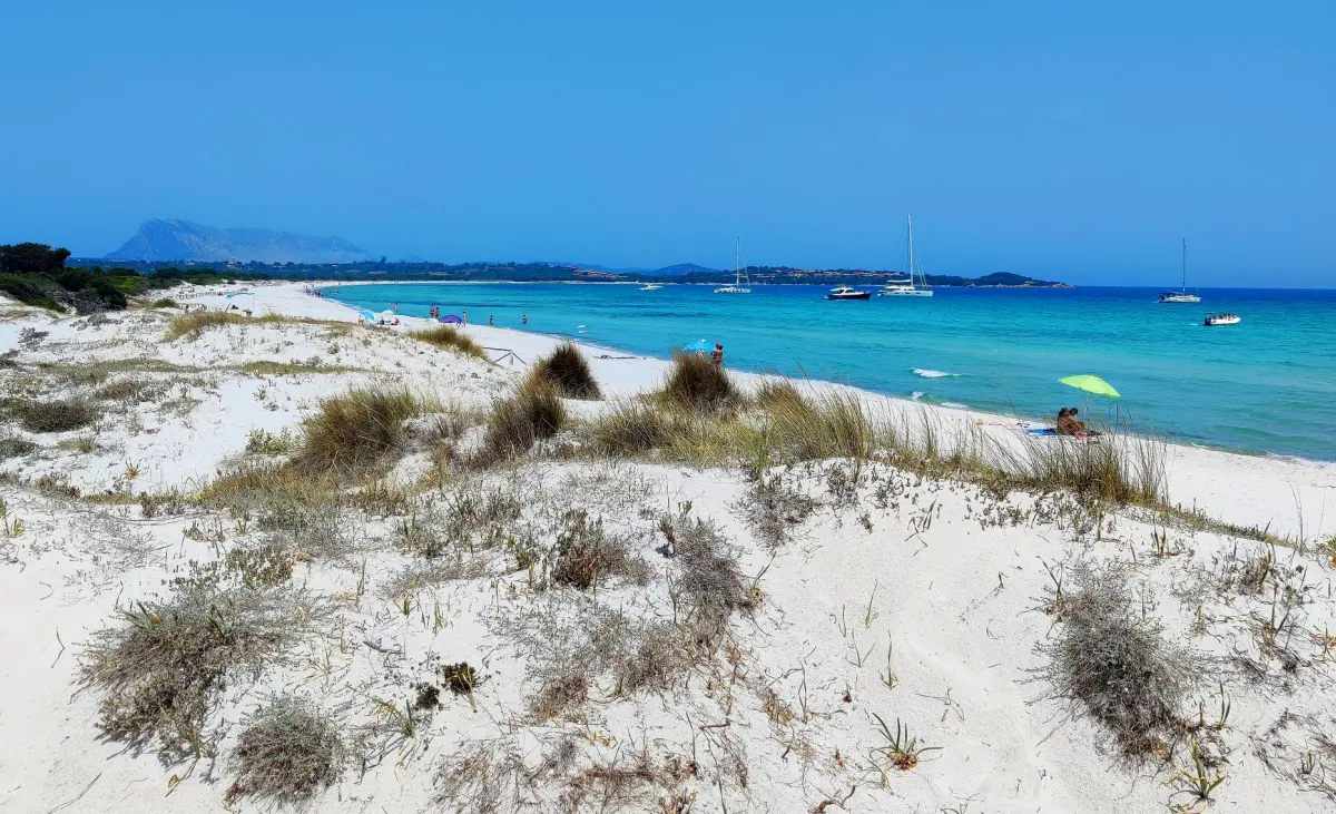 https://www.pexels.com/pl-pl/zdjecie/malowniczy-widok-na-plaze-cala-brandinchi-na-sardynii-29773796/