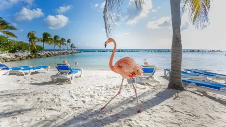 aruba-main-1200-1pp