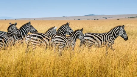 kenya-africa-main-1200-1-