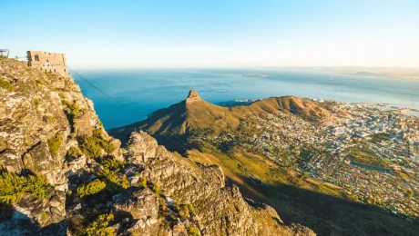 main-rpa-cape-town-pexels-920054