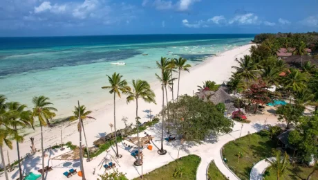 https://www.pexels.com/pl-pl/zdjecie/plaza-wakacje-ocean-wybrzeze-14667393/