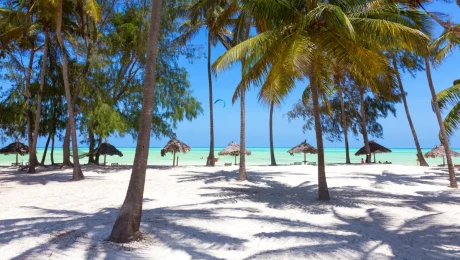 zanzibar-main-1200-1pp